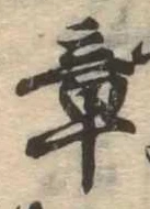 章の位置