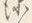 「く」字