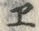 文字 エ
