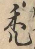禿 위치 확인됨