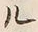 文字ウ