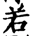 「若」字