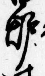 位置 確認된 未指定