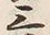 Chữ 三