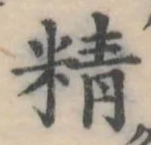 精 위치 확인됨