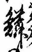 位置 確認된 鱗