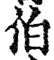 文字伯
