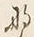 𡨸な