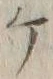 文字ヶ