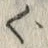 文字 ぐ