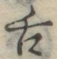 已定位舌