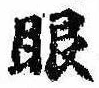 已定位眼