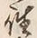 𡨸往
