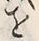 「お」字
