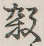 位置 確認된 殺
