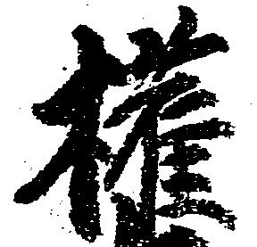 権の位置