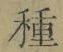 Chữ 種