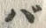 字バ