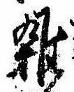 位置 確認된 未指定