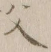 “父”字