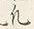 文字凡