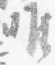 位置定マレル唯