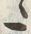 文字冬