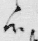 字殊