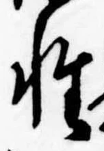 Đã định vị 性