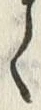 「ゝ」字