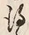 字得