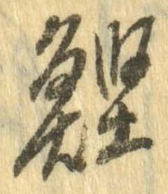 位置 確認된 鰹