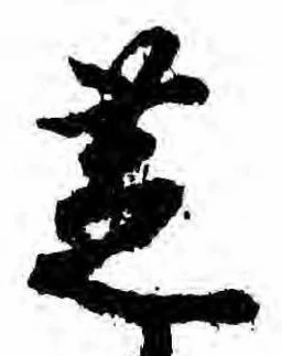 位置 確認된 芝