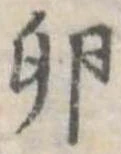 Đã định vị 卵