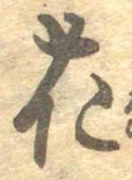 位置 確認된 花