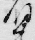 𡨸者