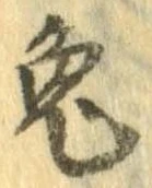 已定位兎