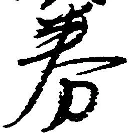 券の位置