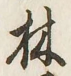 林の位置