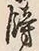 “餝”字