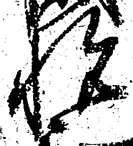 已定位悦