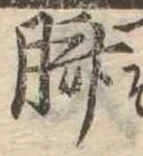 臍の位置