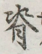 位置 確認된 脊