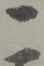 位置定マレル俵