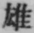 Character 雄