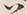 字若