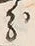 字五