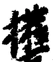 権の位置