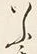 「い」字