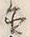 Character 置